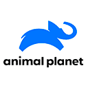 Телеканал Animal Planet Телеканал Animal Planet онлайн