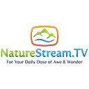 NatureStream TV прямой эфир Телеканал NatureStream TV онлайн