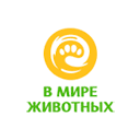 В Мире Животных прямой эфир Телеканал В Мире Животных онлайн